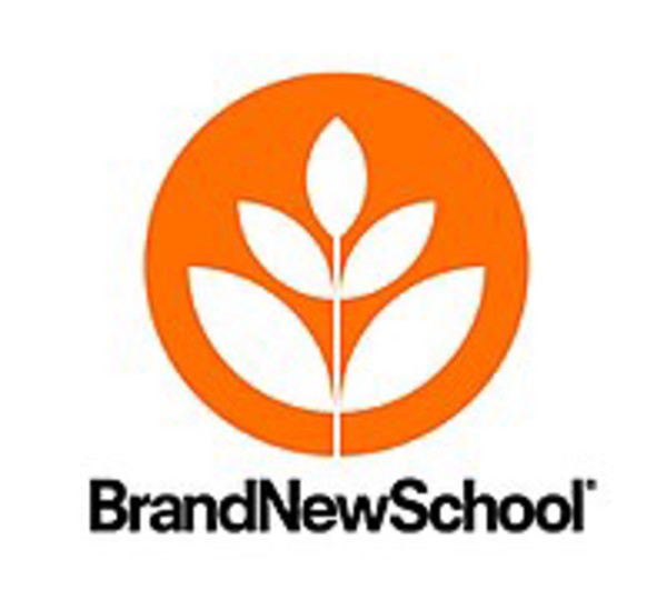 Brand New School